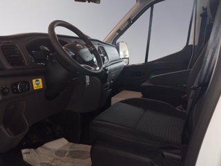 FORD Transit 350 130cv trend L2H2 ALLESTIMENTO DIVERSAMENTE ABILI CARR. FOCACCIA