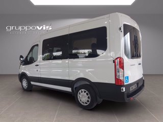 FORD Transit 350 130cv trend L2H2 ALLESTIMENTO DIVERSAMENTE ABILI CARR. FOCACCIA