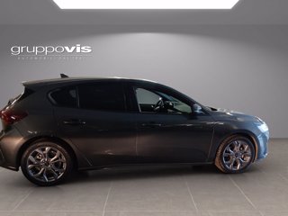 FORD Focus ecoblue ST-Line Automatica 5 porte