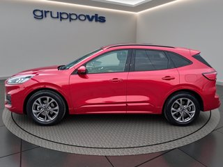 FORD Kuga full hybrid ST-Line 2wd Automatica