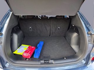 FORD Kuga ecoblue ST-Line 2wd Automatica