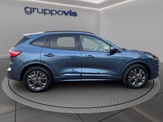 FORD Kuga ecoblue ST-Line 2wd Automatica