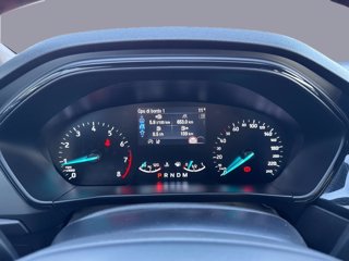 FORD Focus m-hybrid ST-Line powershift 5 porte