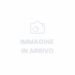 FORD Transit 350 2.0TDCi EcoBlue 130CV RWD PM Cab.Trend